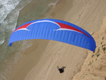  Lambada flying along the shore